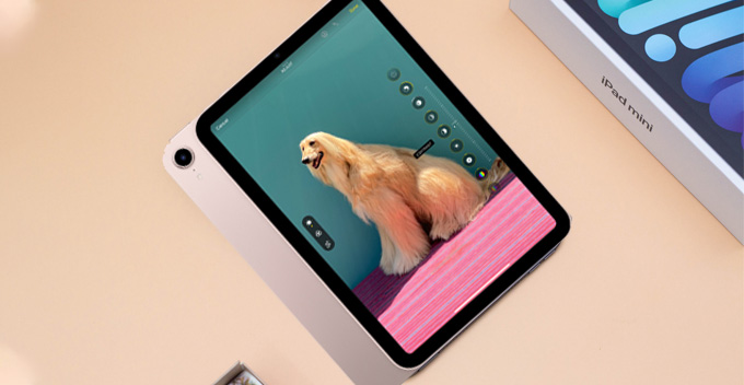 Dùng thử tính năng chụp ảnh trên iPad mini 6 64GB 5G