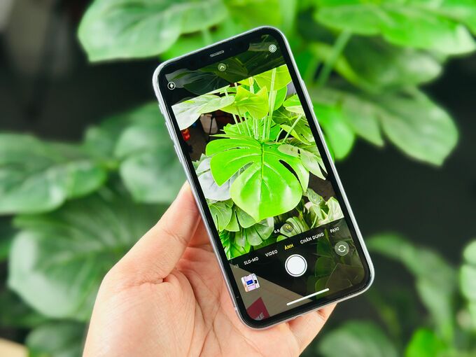 Cụm camera kép 12MP trên iPhone 11 256GB cũ bao gồm camera góc rộng và camera siêu rộng, giúp chụp ảnh linh hoạt