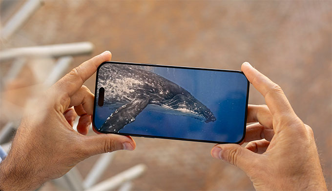 iPhone 16 Pro Max cũ 99% cung cấp khả năng hiển thị tuyệt vời