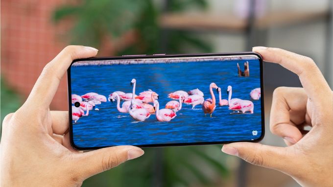 Màn hình Vivo V60 5G